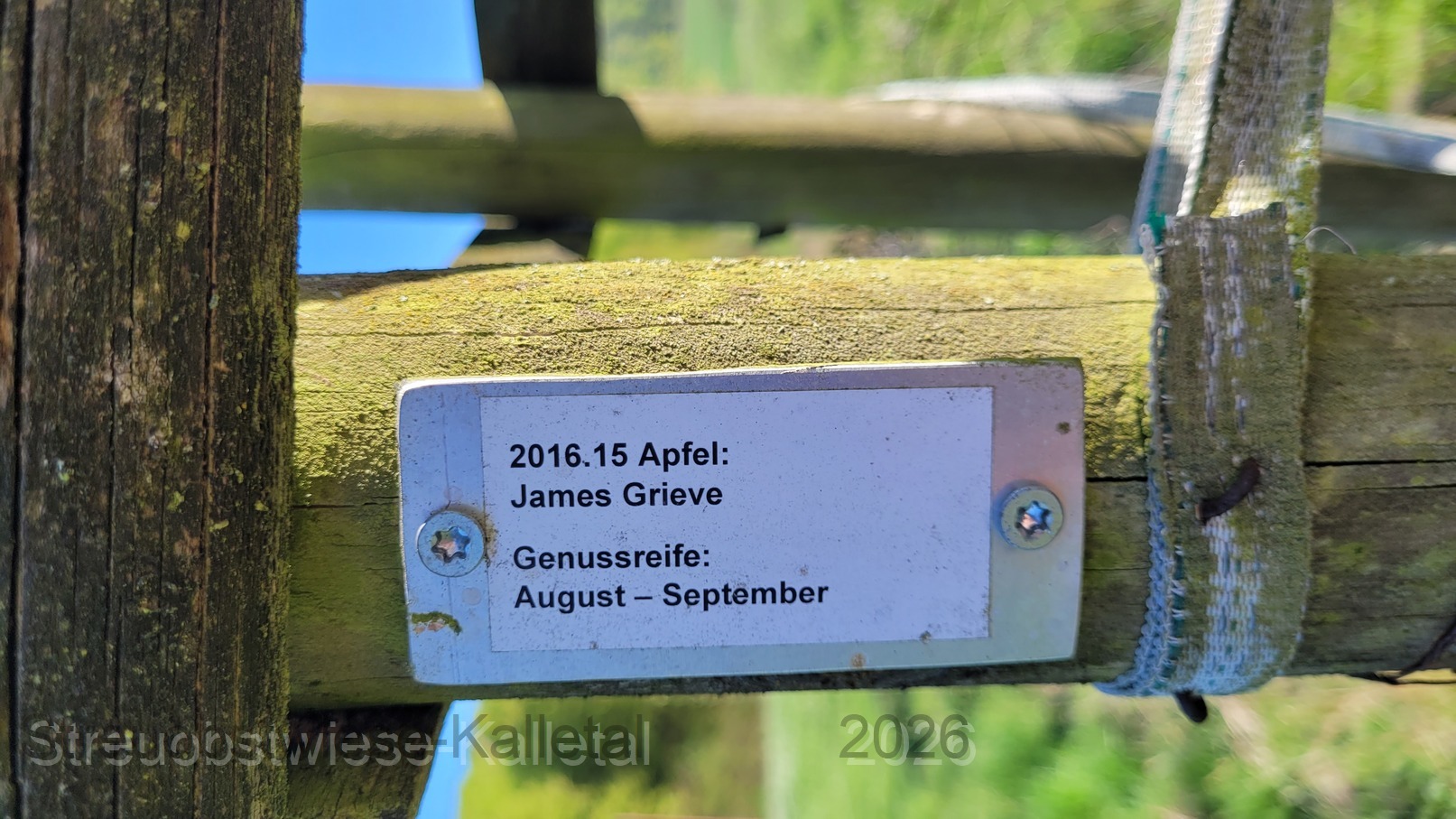 James Grieve