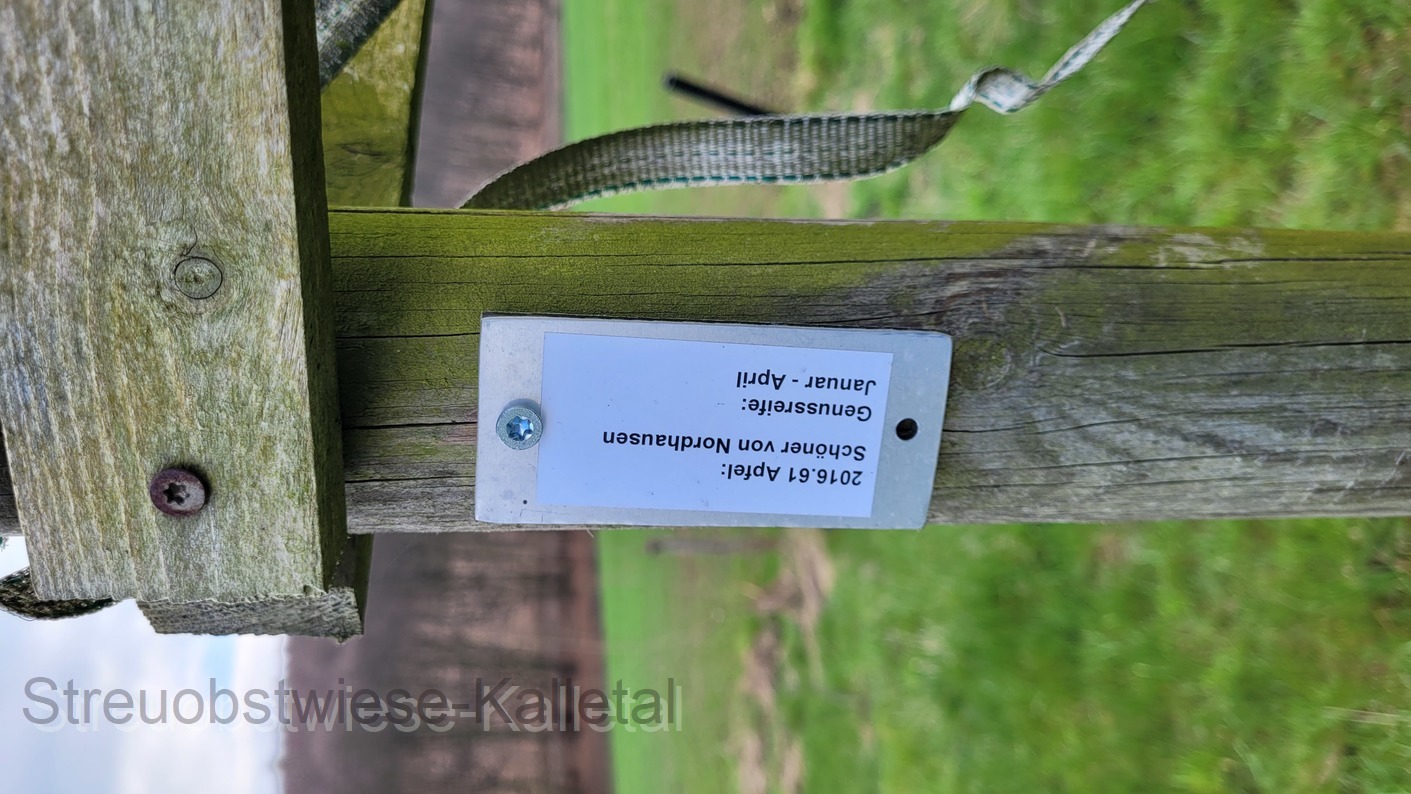 Schöner von Nordhausen