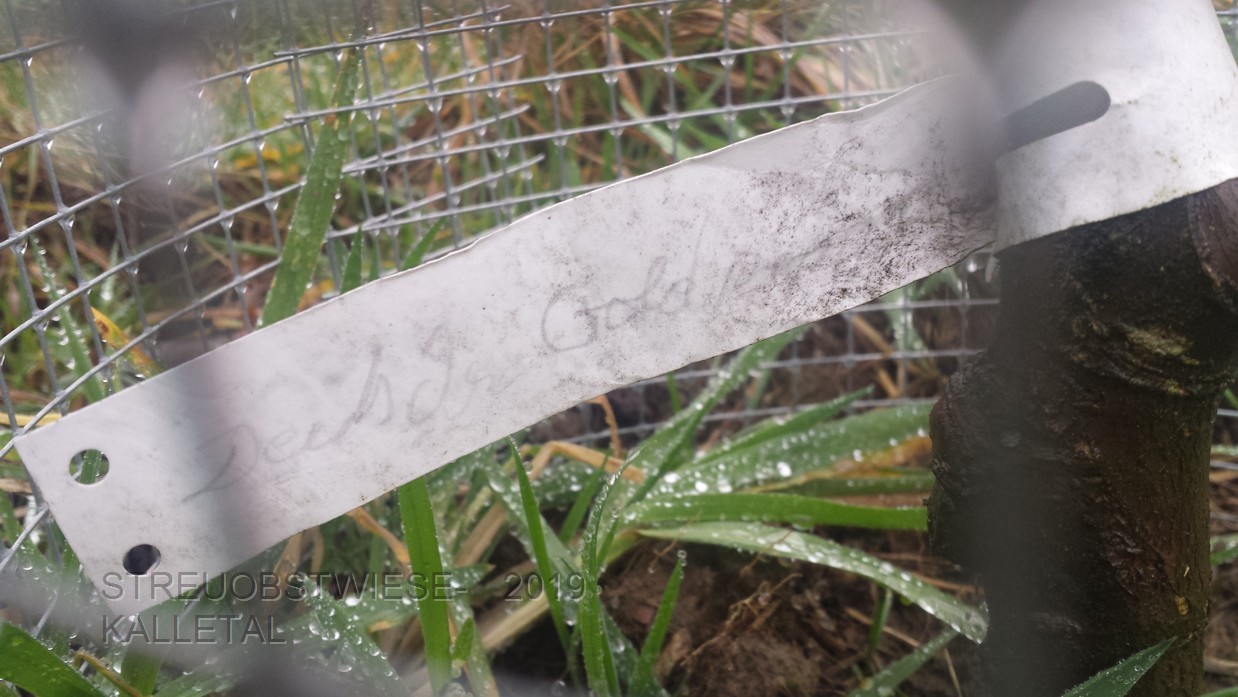 Deutscher Goldpepping